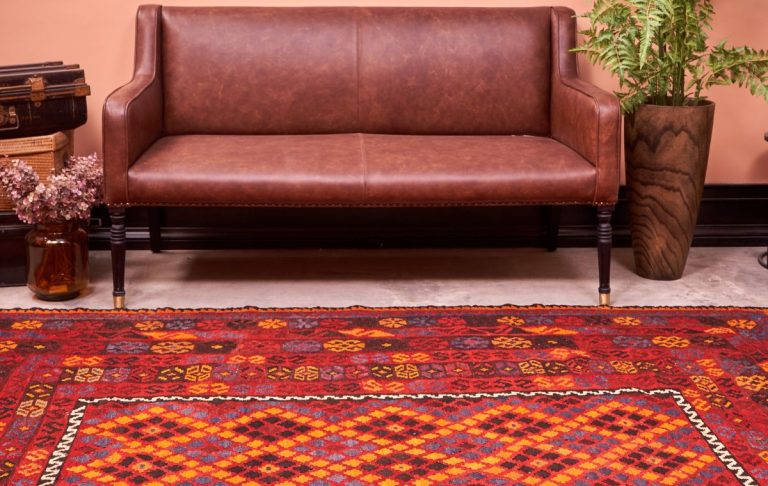 xr:d:DAFb713mEW4:5,j:4532362660,t:23030107