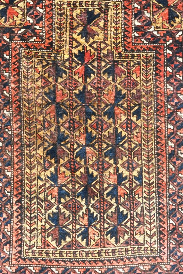 سجاد صلاة بلوش-المسار الزهري