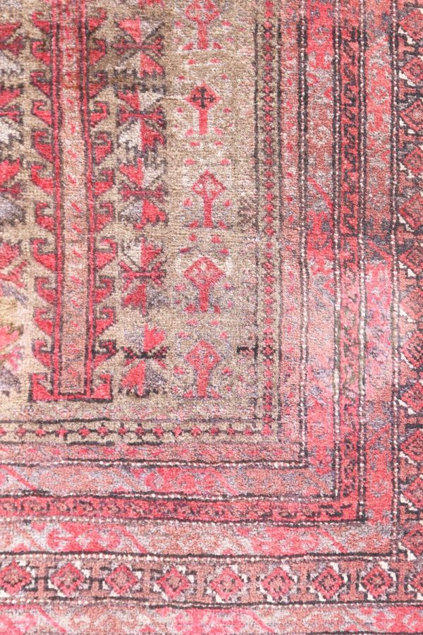 سجاد صلاة بلوش-سلم إلى ما هو أبعد من ذلك