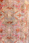 مجموعة الصفوية -ريفي