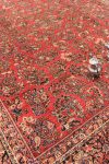فارسي ساروق -الحديقة الحمراء