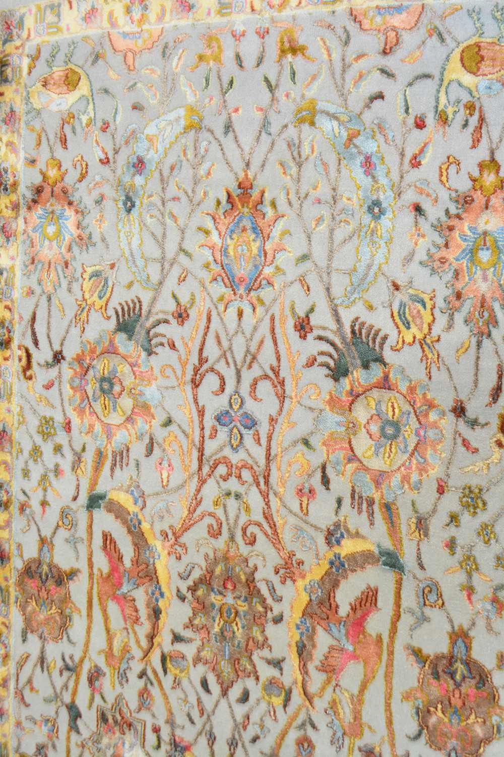 مجموعة الصفويين - جاردينيا