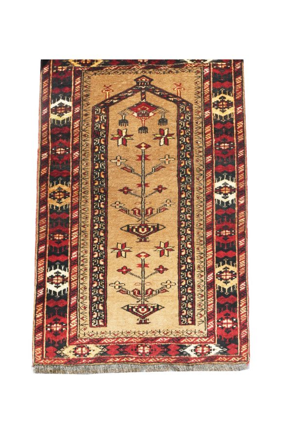 سجاد صلاة بلوش-ارتفاع