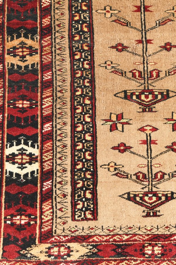 سجاد صلاة بلوش-ارتفاع