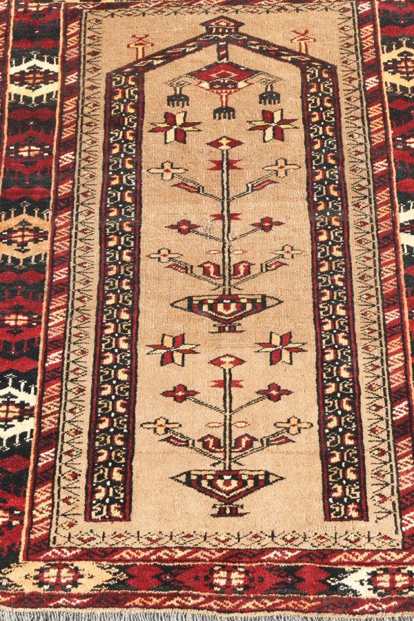 سجاد صلاة بلوش-ارتفاع